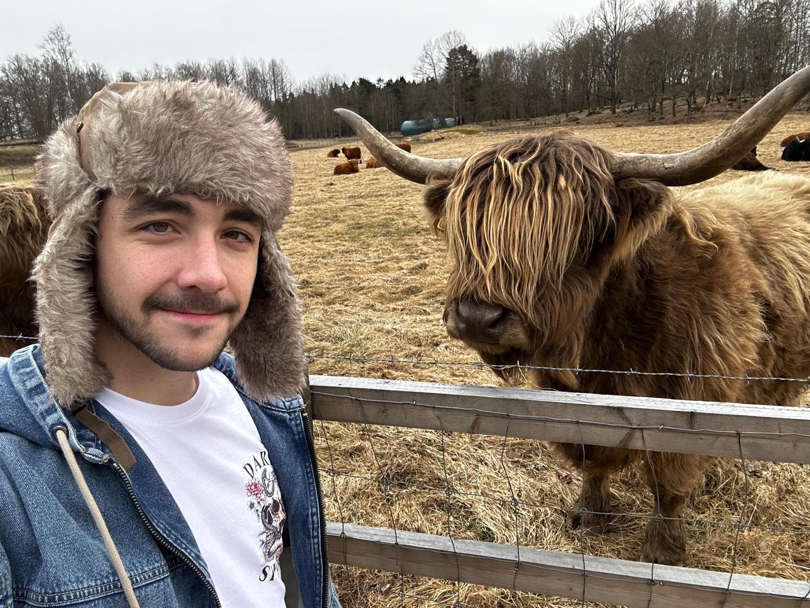 Swedish countryside